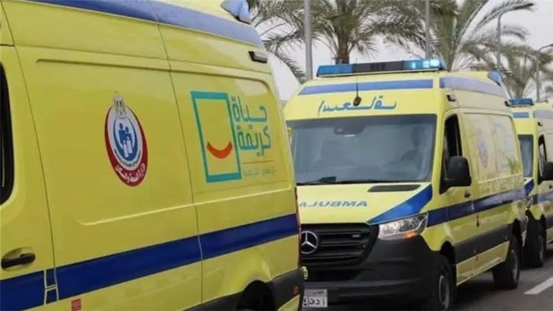 نهاية مأساوية وسط النيران.. مصرع مزارع أثناء حرق مخلفات القصب بأرمنت