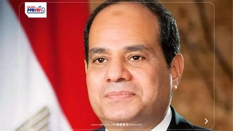خبراء يحللون لـ «نيوز رووم» تصريحات الرئيس السيسي بشأن القرن الإفريقي
