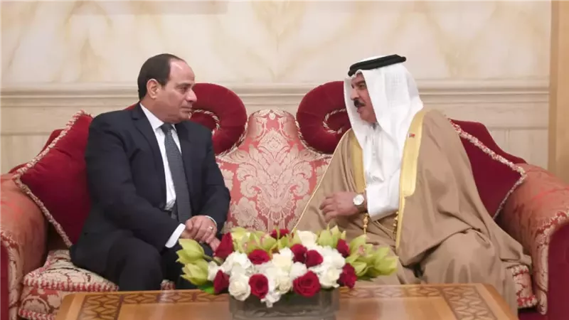 رشاد عبدالغني: لقاء الرئيس وملك البحرين يؤكد قوة التحالفات العربية