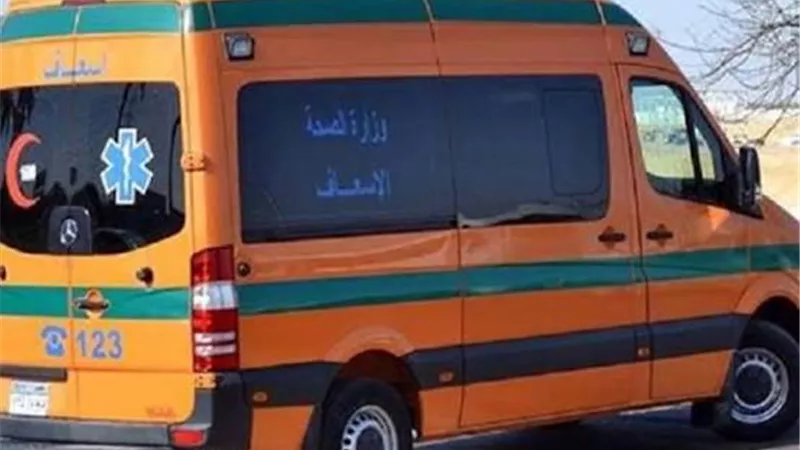 نتيجة العبور الخاطئ.. مصرع مسنة دهسًا تحت عجلات قطار في سمالوط بالمنيا