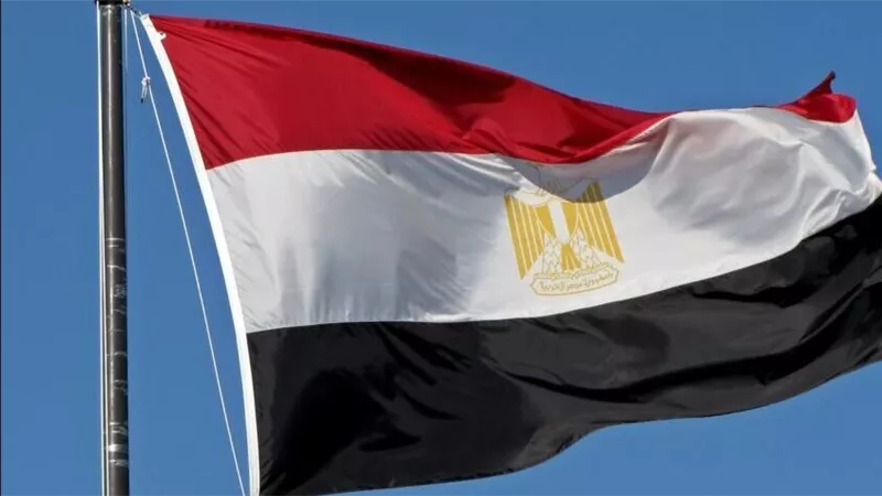 مصر ترفض تقسيم السودان وليبيا.. وتشدد على حقوقها المائية في النيل