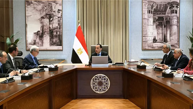 استعراض موقف الشركات التي قيدت أوليًا في البورصة تمهيدًا للقيد النهائي