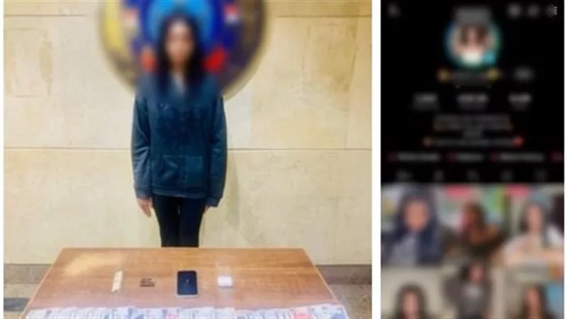 رفض استئناف البلوجر وعد على قرار حبسها بتهمة نشر فيديوهات خادشة