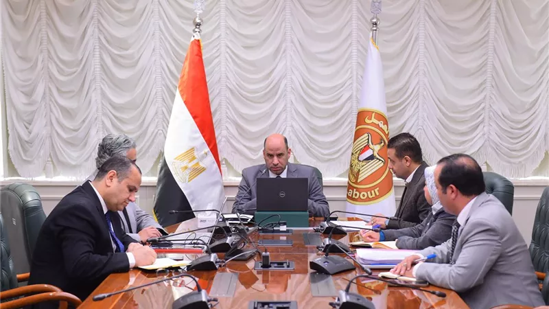 وزير العمل يتابع بيانات المناطق الصناعيةوقوة العمل واحتياجات سوق العمل الفعلية