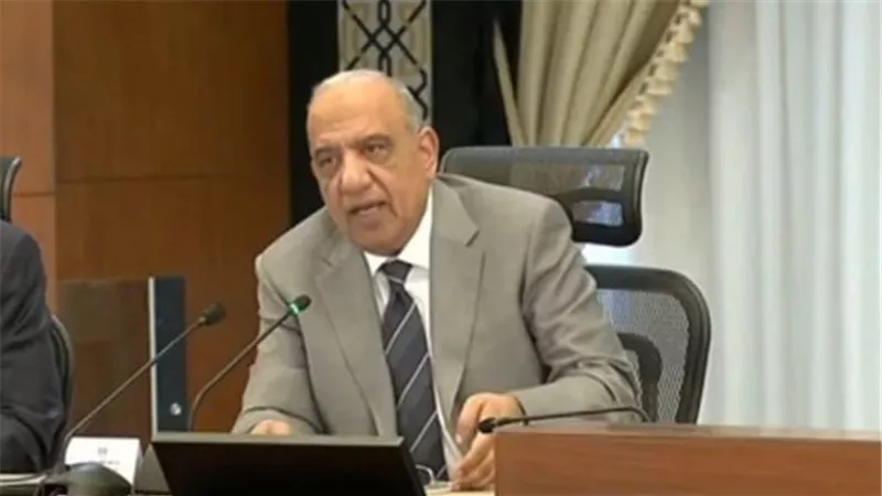 وزير الكهرباء لـ«نيوز رووم»: الصيف المقبل لن يشهد انقطاع التيار الكهربائي