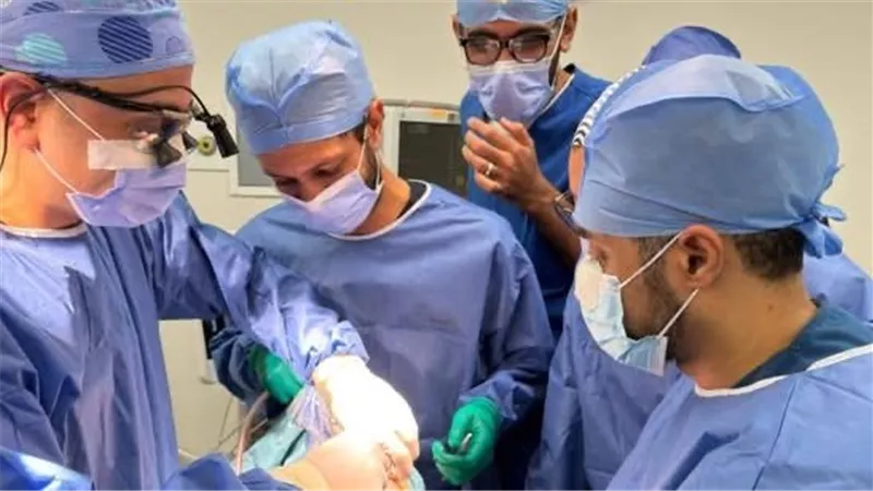 الجنسنغ قد يكون سلاحًا طبيعيًا ضد العظام..دراسة تكشف فوائده المذهلة للعظام