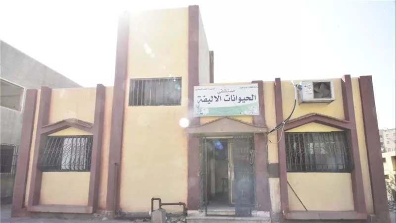 محافظ بورسعيد يوجه بإقامة مستشفى نموذجي للطب البيطري بالقابوطي الجديد