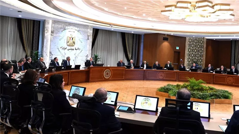 مدبولي: لن يحدث انقطاع للتيار الكهربائي أو توقف لإمدادات الغاز عن المصانع