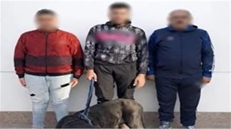 القبض على أب ونجليه لاتهامهم بترويع أسرة بإستخدام كلب في الإسكندرية| فيديو 
