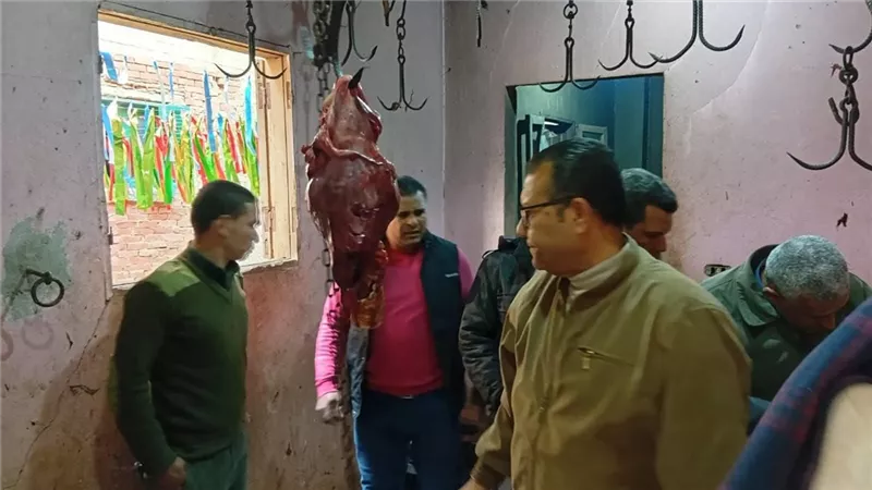 محافظ المنوفية: ضبط سلخانة مخالفة داخل منزل بإحدى قرى الباجور خلال حملة تفتيش