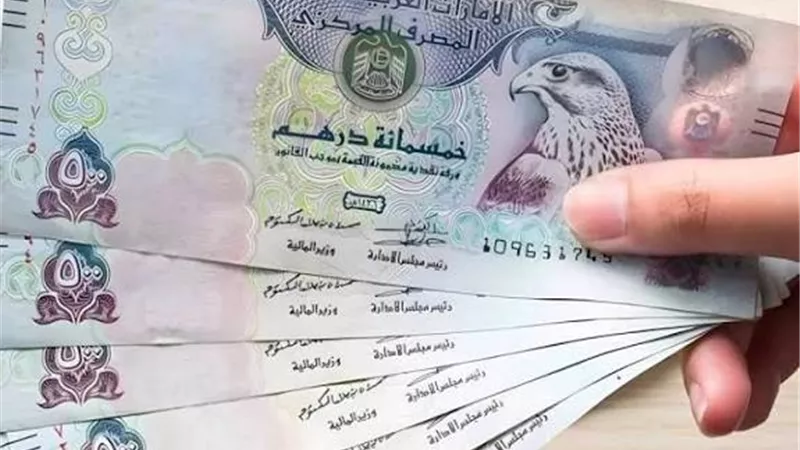  أسعار الدرهم الإماراتي اليوم.. استقرار أمام الجنيه في البنوك المصرية