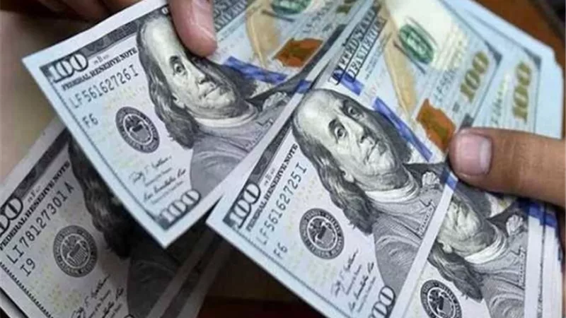 قفزة الدولار في مصر.. رحلة الصعود من 47.7 إلى 50.2 جنيه خلال 5 أيام