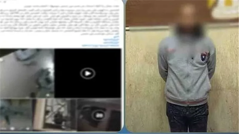 بسبب الركنة.. التحقيق مع عاطل حطم سيارة سيدة في عين شمس 