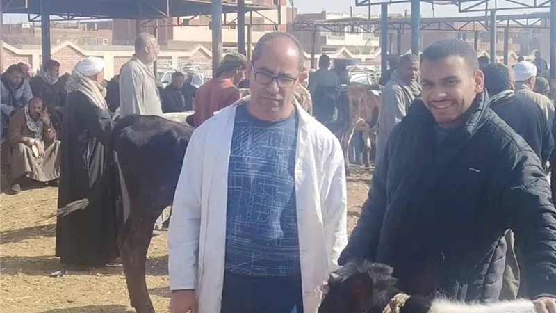 الطب البيطري بالسويس يواصل تحصين الماشية بسوق السبت بقرية الألبان الجديدة