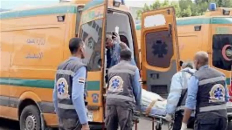 إصابة 6 أشخاص في انقلاب سيارة بيجو على طريق المنصورة الجديدة 