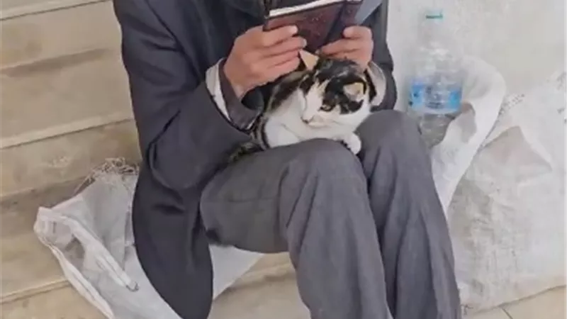 مُسن تركي يقرأ القرآن ويحتضن قطة.. مشهد مؤثر يلمس القلوب