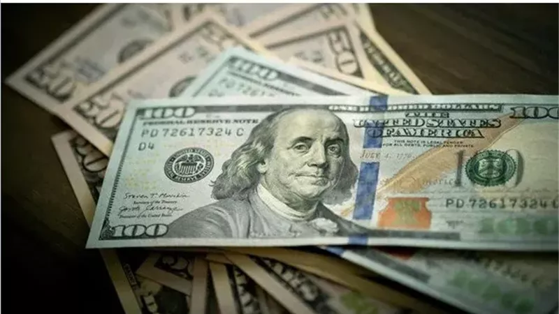 الدولار يستقر أمام الجنيه.. سعر العملة الخضراء اليوم الأحد 16 أغسطس