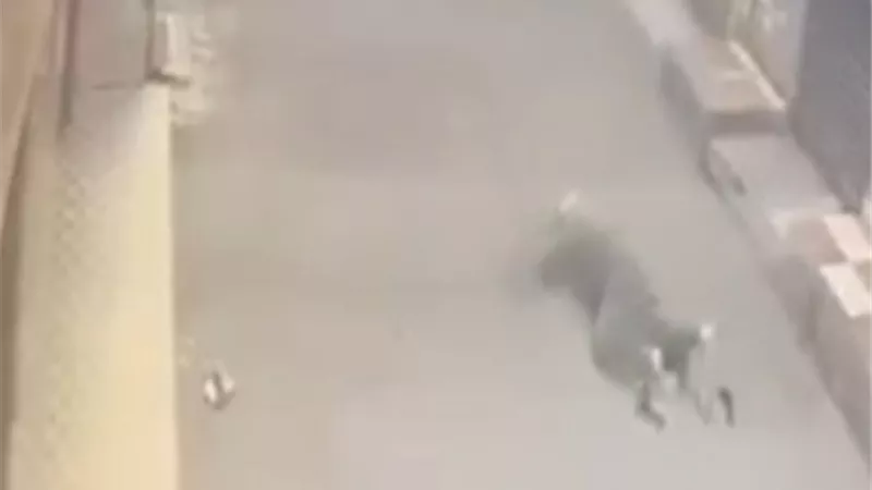 القبض على شخص اعتدى على طليقته بساطور في طنطا بسبب خلافات سابقة