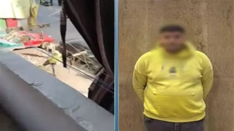 رشق منزلها بالحجارة.. التحقيق مع سائق توك توك اعتدى على سيدة بحلوان