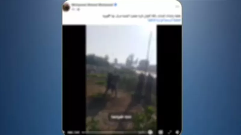 خلاف على قطعة أرض يتحول لمشاجرة بالأسلحة البيضاء في القليوبية