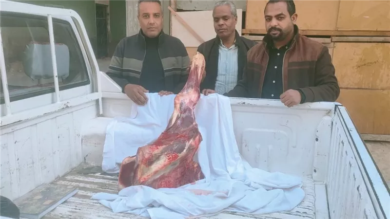ضبط دقيق مدعم ولحوم فاسدة بالأقصر.. حملات تموينية مكثفة وتمديد الأوكازيون 