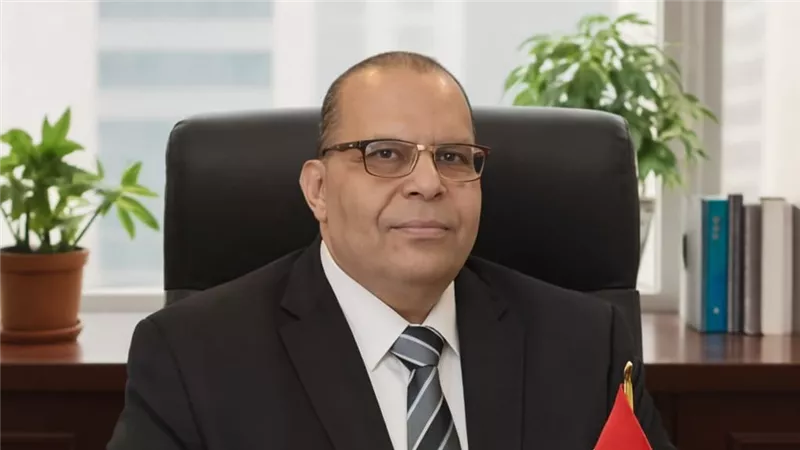 عمرو الفارسي: محورية مصر في إدارة الأزمات الإقليمية تمثل صمام أمان 