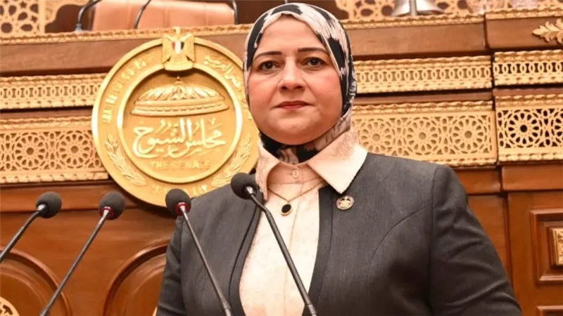 النائبة مروة قنصوه تناقش دعم الاستثمار في محطات الطاقة الشمسية أعلى المباني