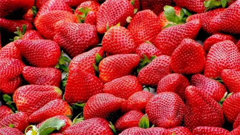 7 فواكه منخفضة الكربوهيدرات تساعد على التحكم بمستوى السكر بالدم