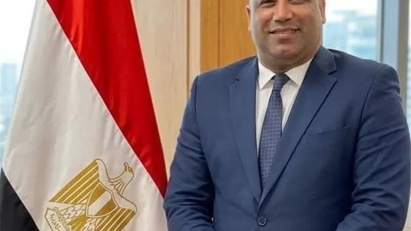 تكليف الدكتور أحمد حماد نائبًا لمدير فرع هيئة الرعاية الصحية بأسوان 