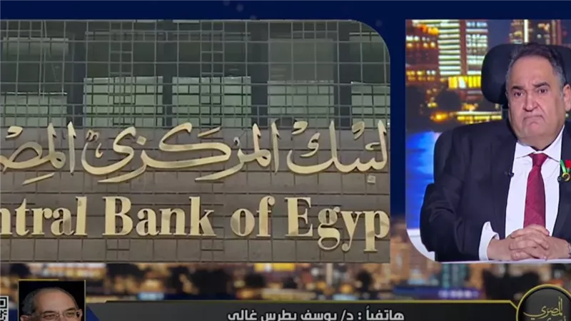 يوسف بطرس غالي: ارتفاع الجنيه 10% خلال أيام مرتبط بالأموال الساخنة