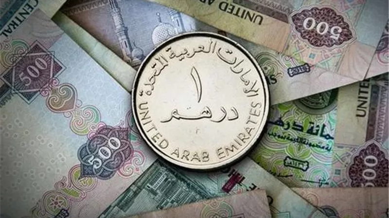 سعر صرف الدرهم الإماراتي مقابل الجنيه اليوم الأربعاء 11 مارس 2026