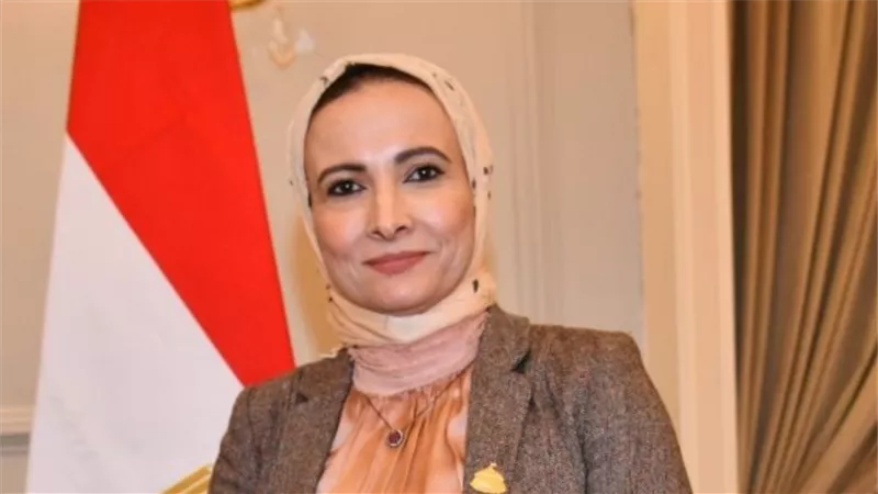 نشوة عقل: زيادة مخصصات الحماية الاجتماعية ضرورة لمواجهة ارتفاع الأسعار 