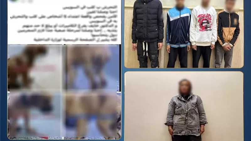 كشف حقيقة منشور التعدي غير الأخلاقي على كلب بالسويس وضبط صاحبة الادعاء الكاذب