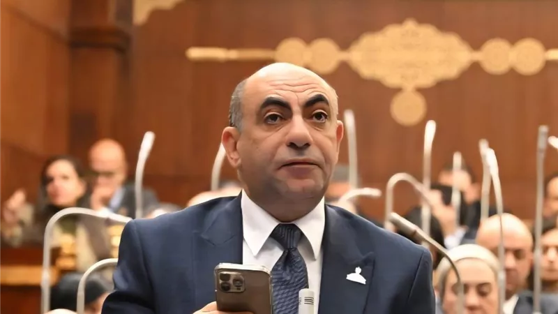 “موسى”: مطالب بإصدار قانون الأحوال الشخصية لحماية الأطفال واستقرار الأسرة |خاص