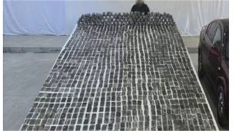 ضبط 12 عنصرا جنائيا بسبب غسل 300 مليون جنيه متحصلة من تجارة المخدرات