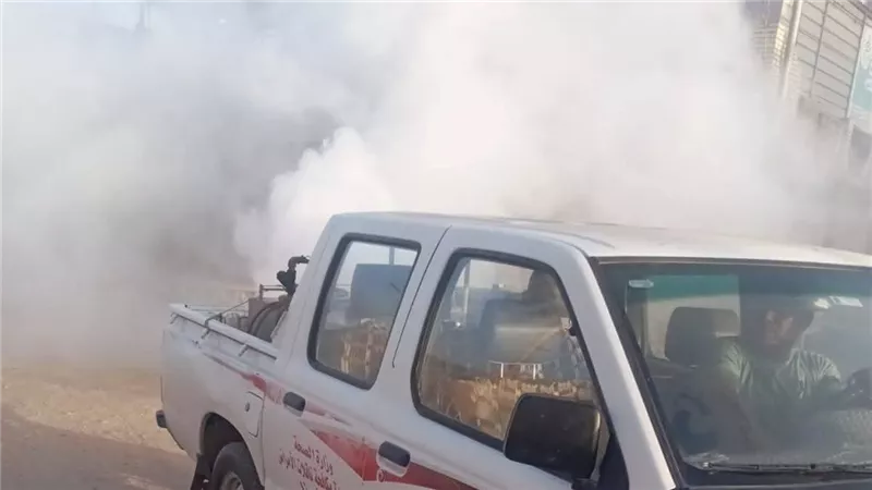 لمواجهة الهاموش والبعوض.. تكثيف حملات الضباب في الأقصر وضواحيها