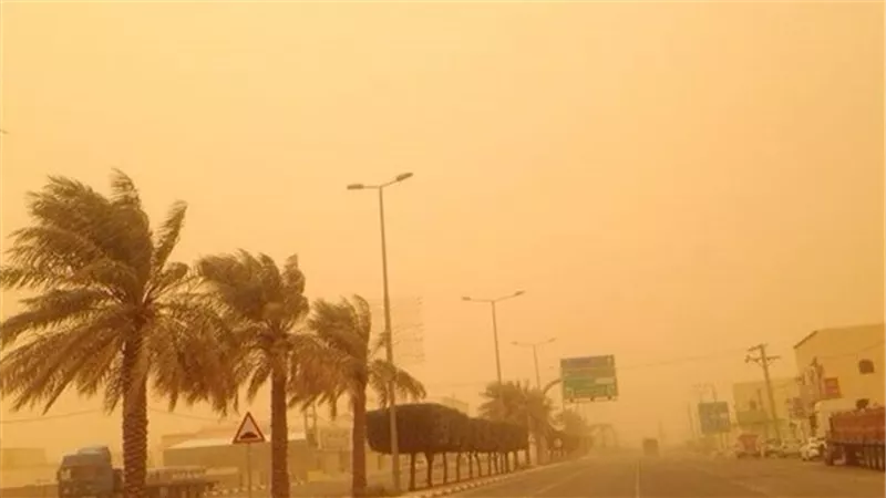 طقس جوزائي متقلب.. طبيب يكشف لنيوز رووم خطورة الجو على مرضى الحساسية