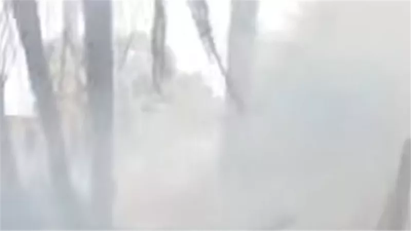 السيطرة على حريق بزراعات النخيل في قرية الزنيقة بالأقصر قبل امتداده للمنازل 