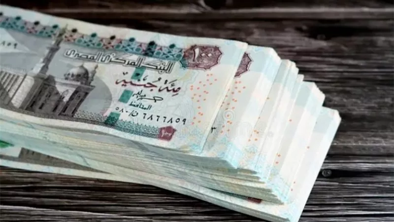 المالية: تقديم موعد صرف مرتبات مارس غداً للتيسير على العاملين قبل العيد