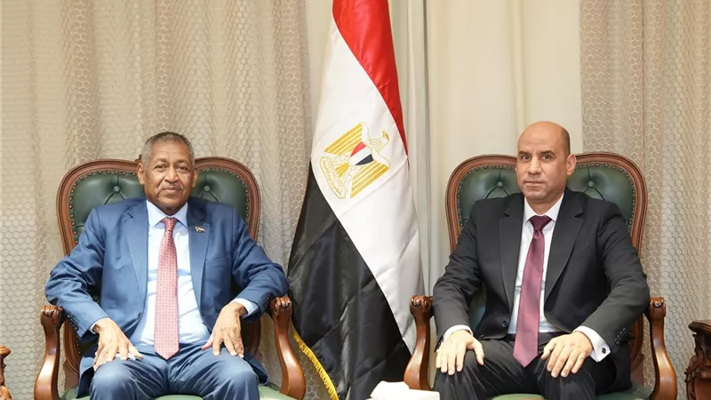 تعاون مصري- سوداني لتدريب الكوادر ودعم جهود إعادة الإعمار في السودان