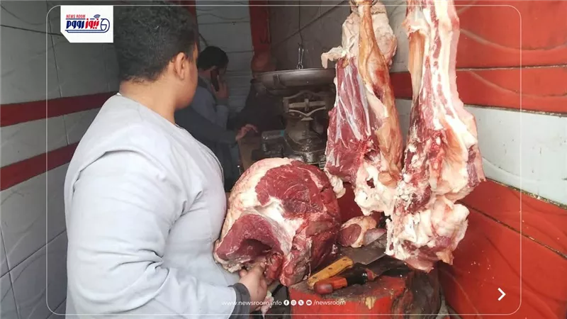 التموين بالمنيا: ضبط 206 مخالفات بمخابز وأسواق المحافظة