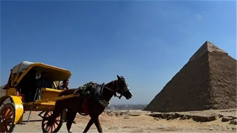 الجيزة تصدر قراراً بتنظيم تأجير الدواب والكارتات بالمناطق الأثرية