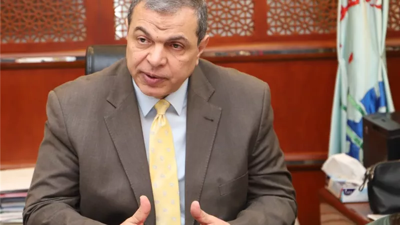 محمد سعفان: توقف منظومة التأمينات أثر على صرف المعاشات