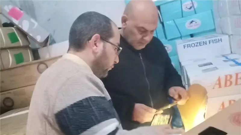 ضبط طن وربع اسماك مملحة غير صالحة للاستهلاك الادمى بالقليوبية 