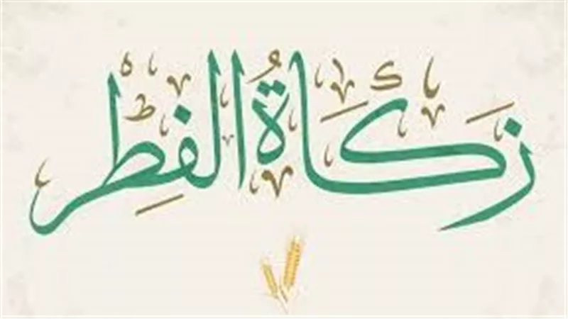 هل من نسي إخراج زكاة الفطر عليه كفارة؟.. أمين الفتوى يجيب