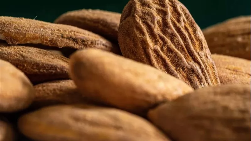 تعرفي على فوائد اللوز للبشرة للحصول على ترطيب ونضارة طبيعية بسهولة