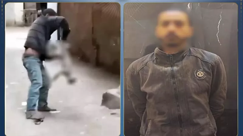 يعانى من اضطرابات عقلية.. القبض على شخص عذب قطة بالقليوبية حتى الموت