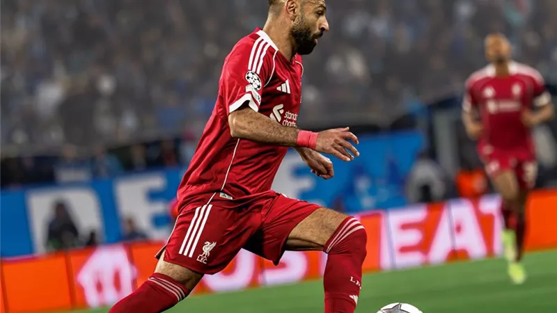 في غياب محمد صلاح.. ليفربول يسعى للعودة إلى الانتصارات من بوابة برايتون 