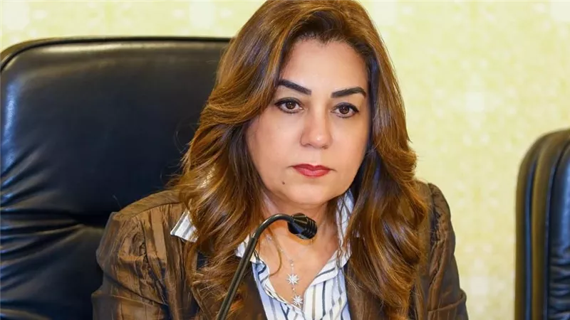 وزيرة التنمية المحلية تعتمد المخططات التفصيلية لمدن رأس البر وباريس والهرم 