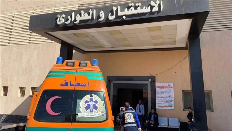 إصابة 3 أشخاص في واقعة عقر كلب جماعي بأخميم في سوهاج